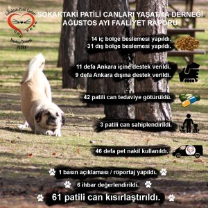 Dernek faaliyet raporu